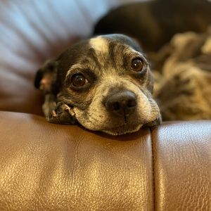 Meet your Posher, Jeanne